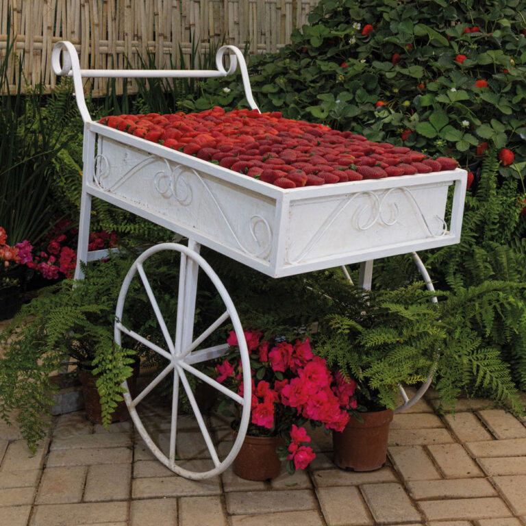 Festa de Flores e Morangos em Atibaia