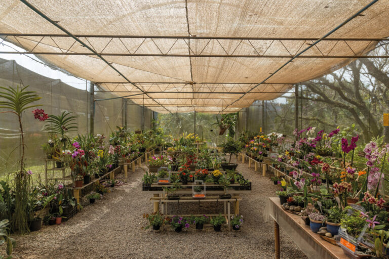 Turismo de Experiência