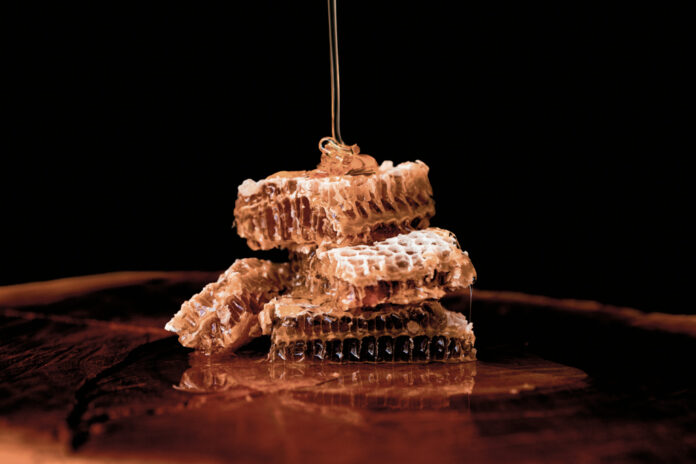 circuito-das-frutas-mel-ft-Marcio_Masulino-web