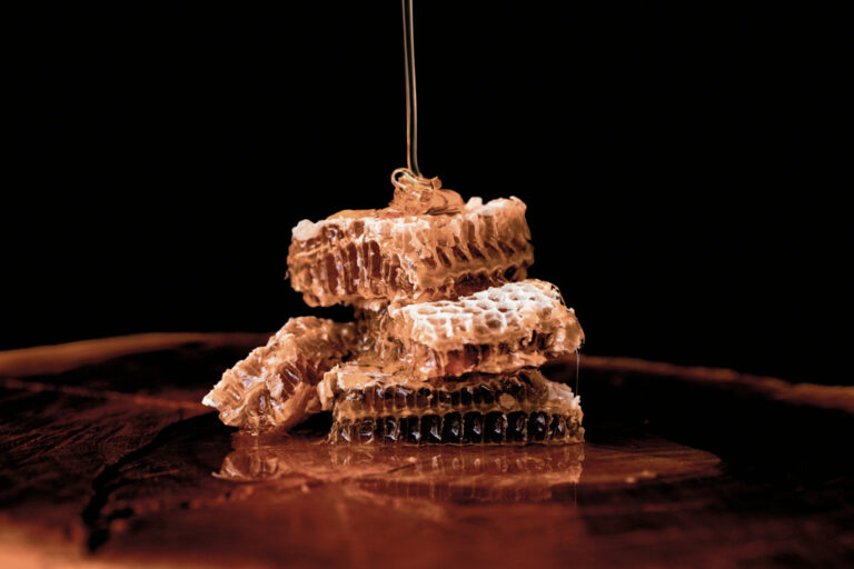 Ingredientes do campo