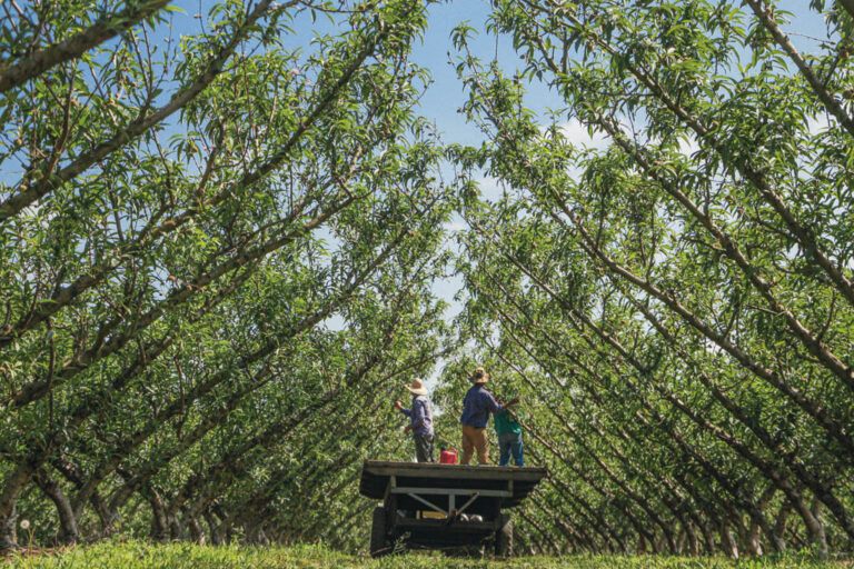Lançamento do Livro