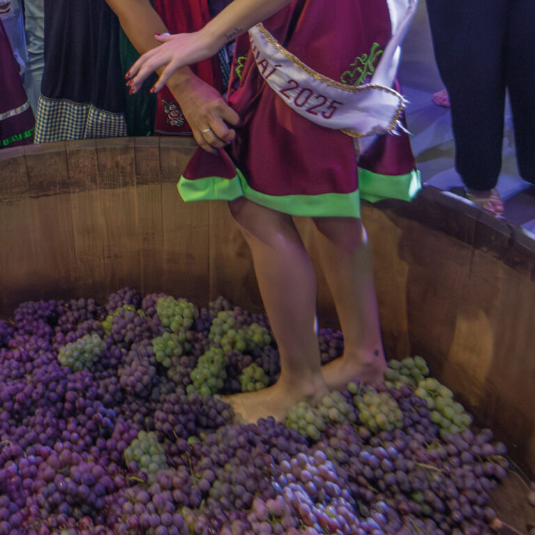 Festa da Uva e Expo Vinhos em Jundiaí
