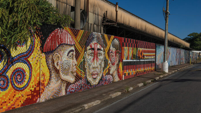 vinhedo-mosaico-elvis-da-silva-ft-Marcio_Masulino-1496-web